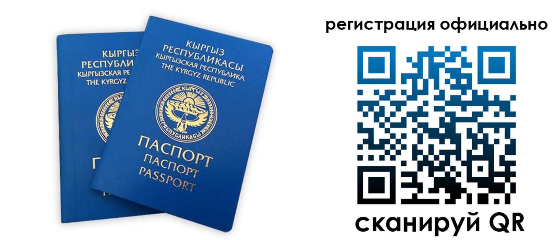 прописка поиск в Тамбовской области